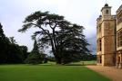 gal/holiday/Audley End House and Gardens - 2008/_thb_Cedar on east flank of house_IMG_3364.jpg